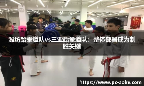 潍坊跆拳道队vs三亚跆拳道队：整体部署成为制胜关键